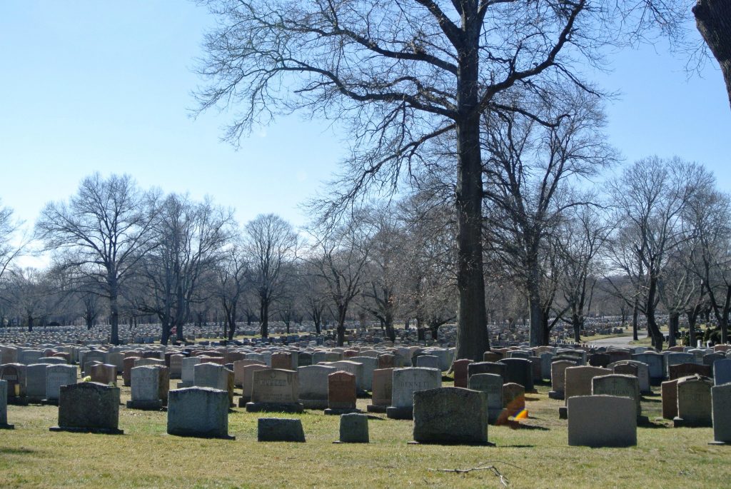 Cemetery Information