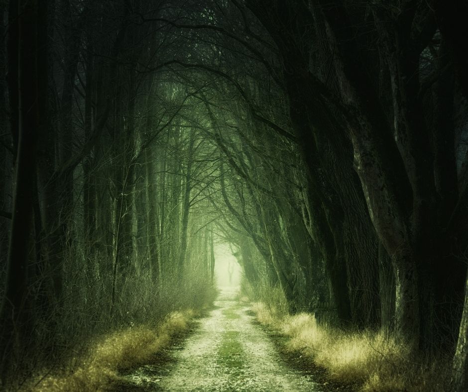 image of a dark forest road. the light filtering through the trees is greenish in hue and not much. there's a shadowy figure at the end of the tunnel of trees