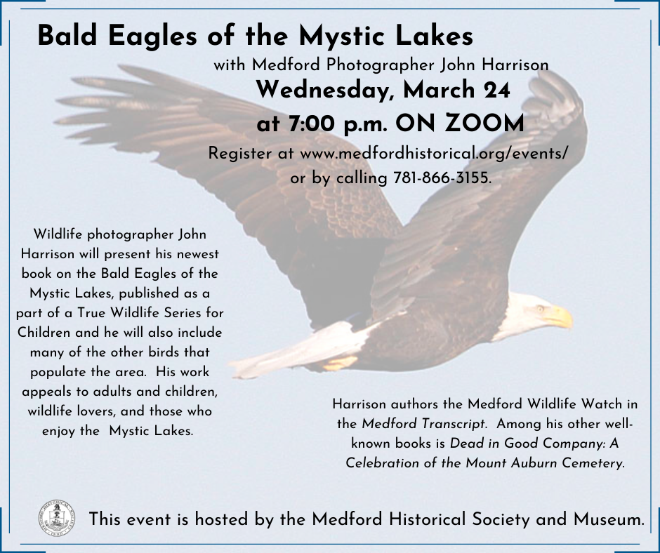Bald Eagles of the Mystic Lakes Zoom event image