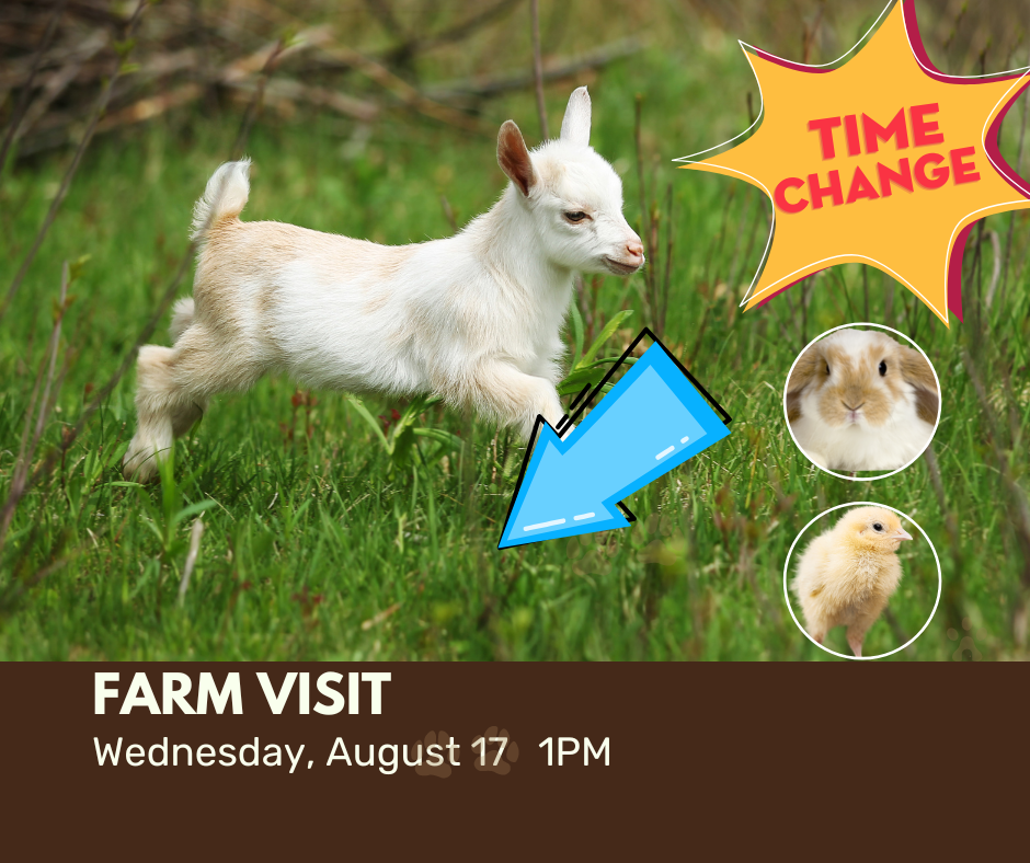 Farm visit wednesday, august 17 1pm (time change from original advertising)