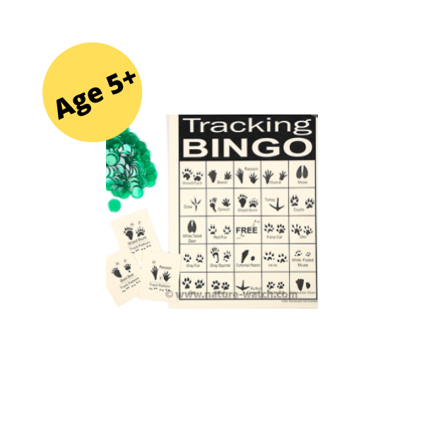 image of a bingo card text reads tracking bing ages 5+