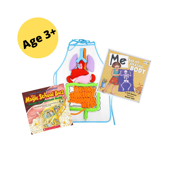 Image of 'organ apron' and 2 books about bodies, text reads ages 3+
