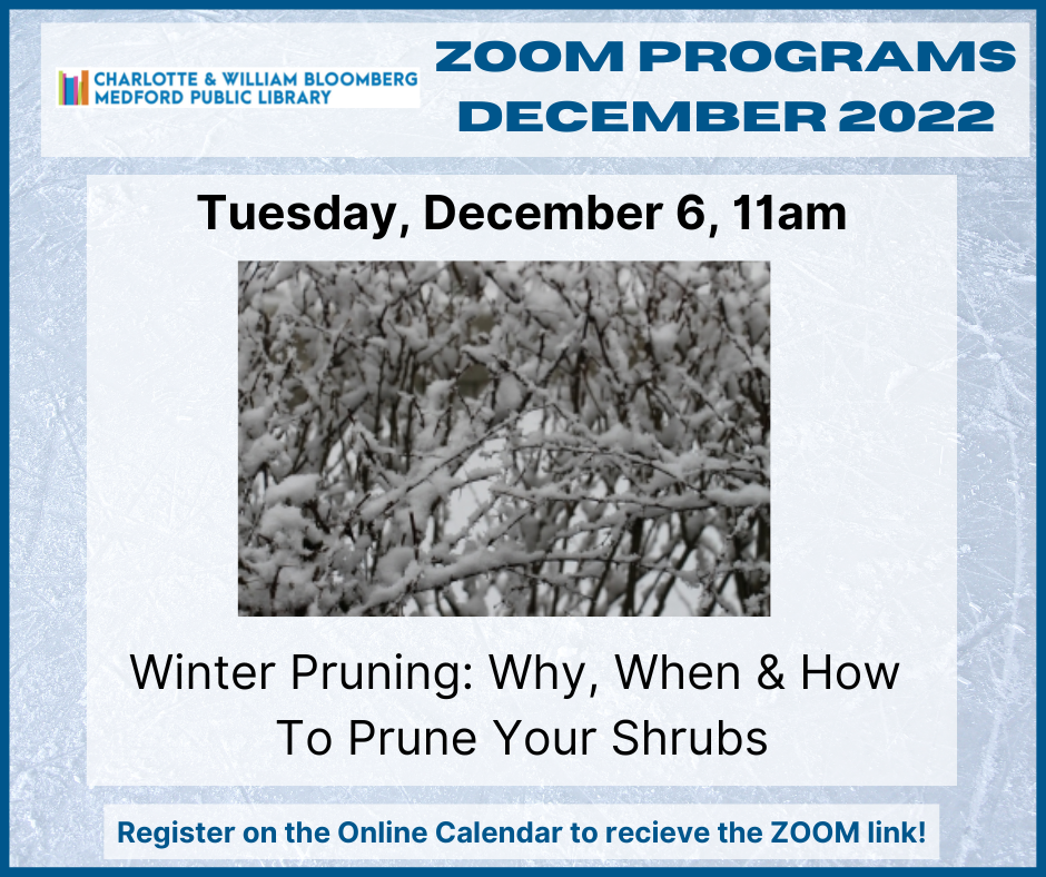 ZOOM, Winter Pruning: Why, When and How to Prune Your Shrubs