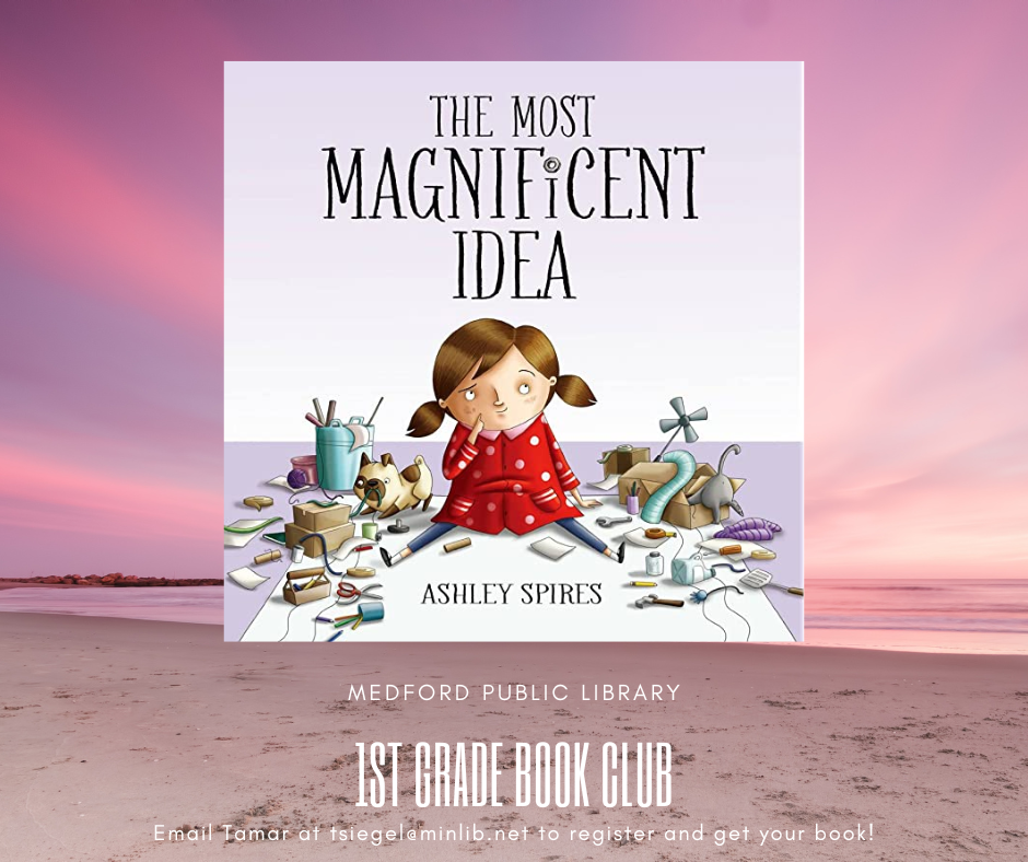 image of cover of most magnificentn idea by ashley spires