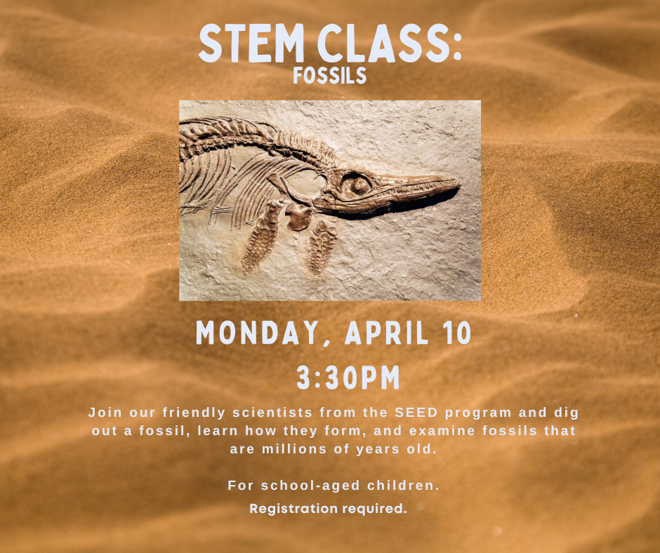 STEM Class fossils monday april 10 3:30 registration required