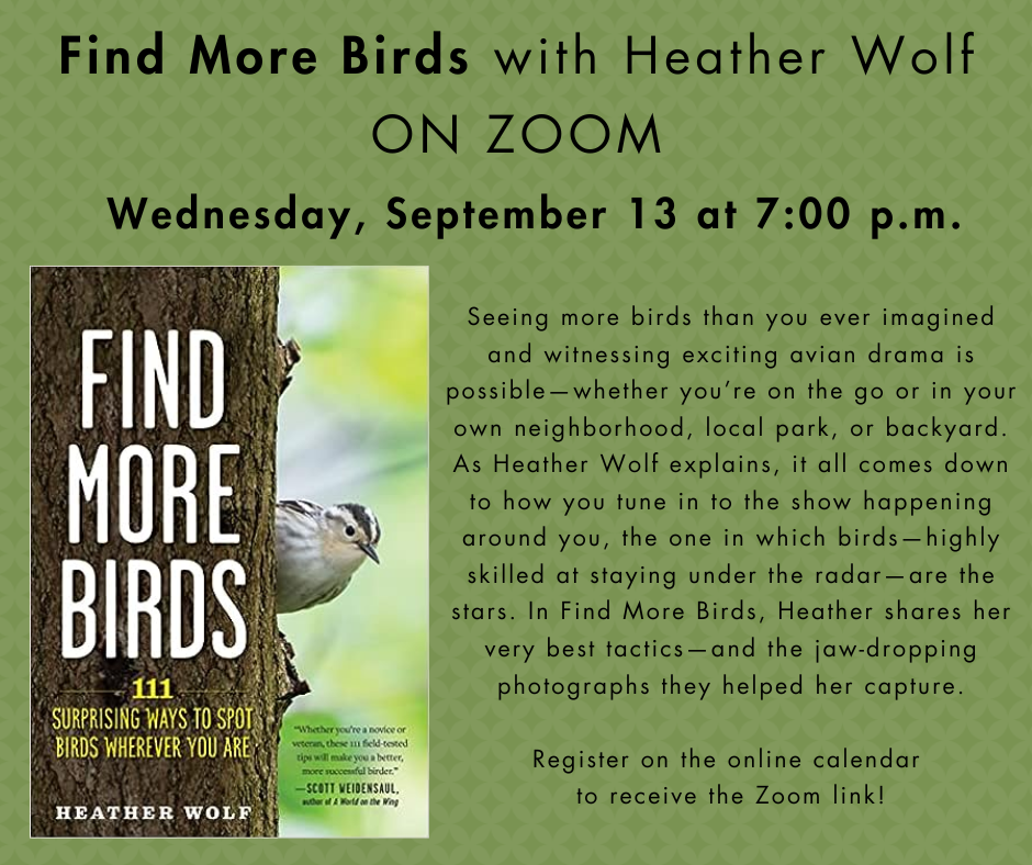 Find More Birds with Heather Wolf ON ZOOM image