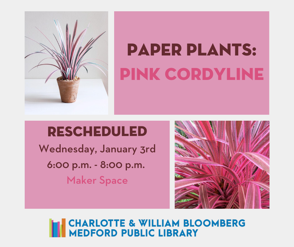 rescheduled paper plant program 6-8pm makerspace january 3, 2024