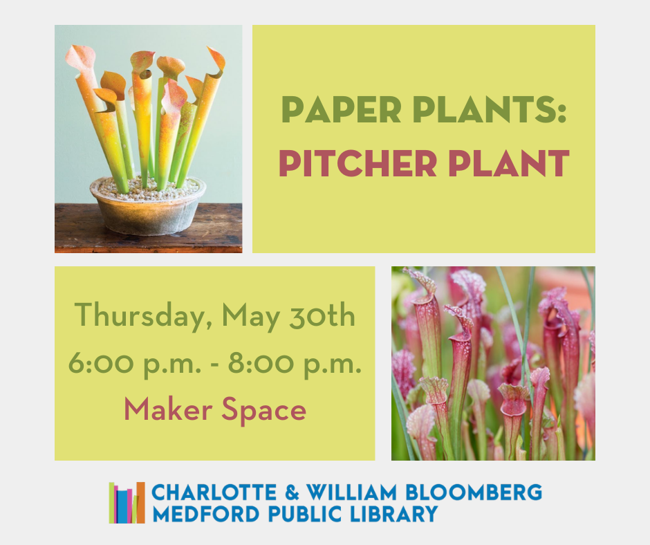 Paper plants: pitcher plant