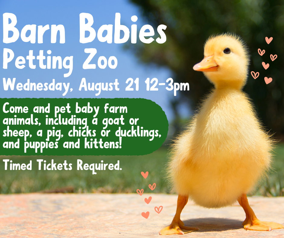 Flyer for Barn Babies petting zoo 2024. Wednesday, August 21 from 12-3pm. Timed Tickets REQUIRED.