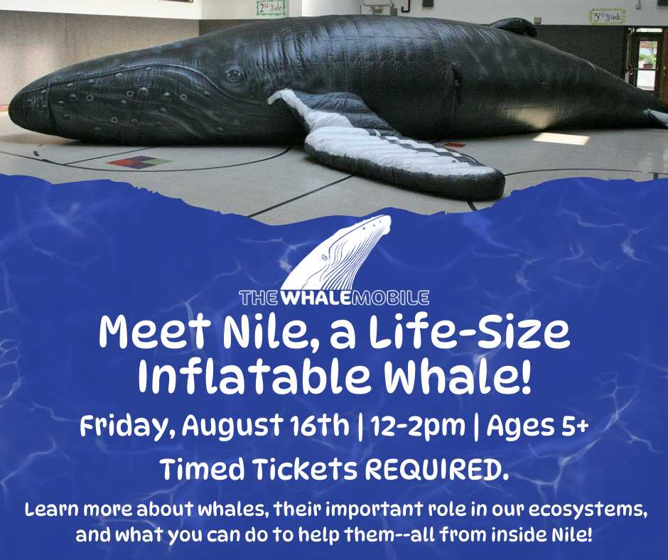 Flyer for the Whalemobile. Meet Nile, a life-size inflatable whale. Friday, August 16 12-2pm. Ages 5+. Timed tickets REQUIRED.