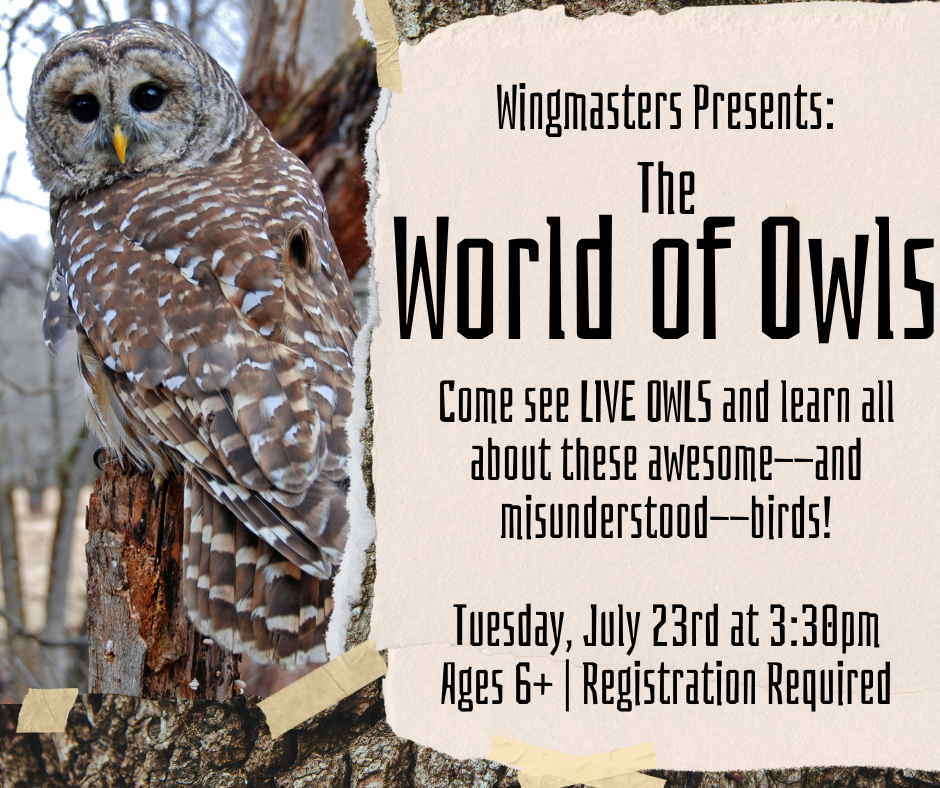 Flyer for the World of Owls. Tuesday July 23 at 3:30pm. Ages 6+. Registration required.