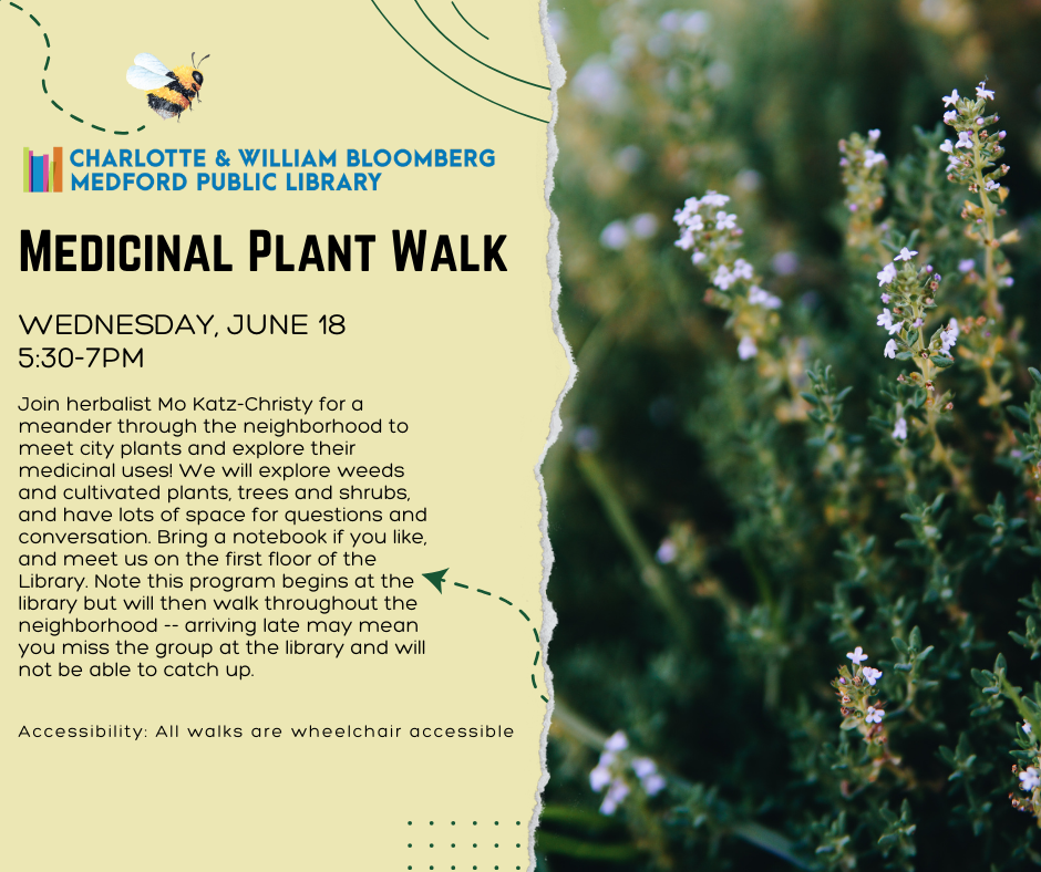 Medicinal Plant Walk event image.