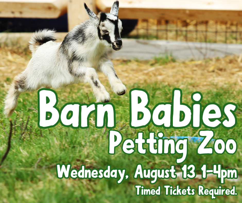 Barn Babies Petting Zoo. Wednesday August 13, 1-4pm. Times tickets required.