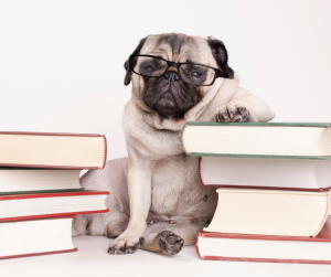 image of dog leaning on book pile