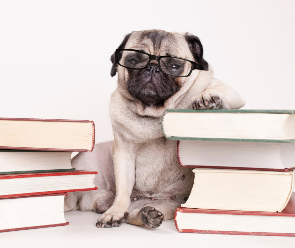 image of dog leaning on book pile